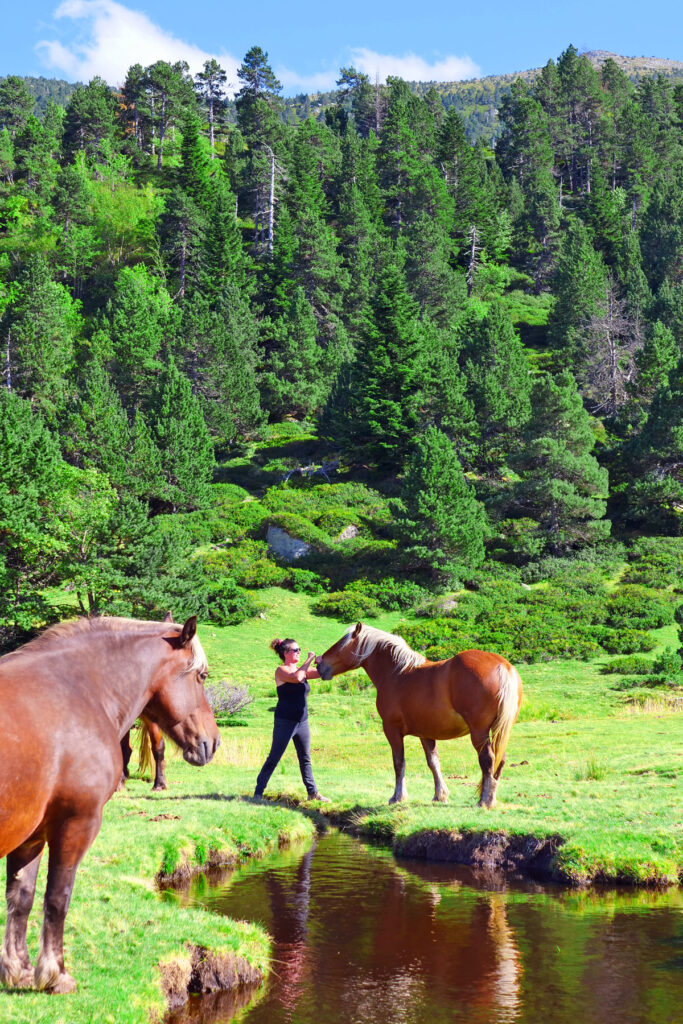 ranch du madres les voyages de doty flint aude actually