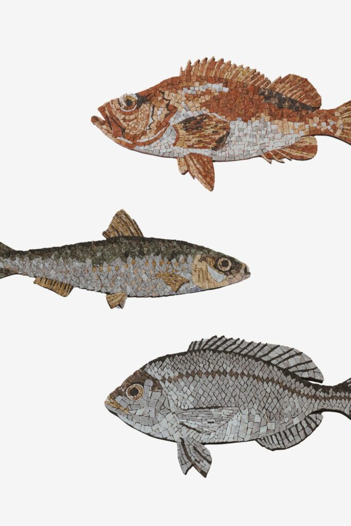 comme des poissons sur le mur aude actually