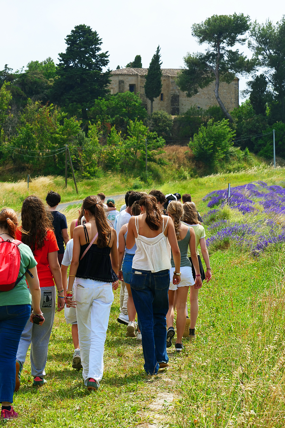 collines de besplas agritourisme